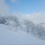 斑尾～飯山のバス利用が超絶楽だった！スキー場1月下旬なのに雪がない？！